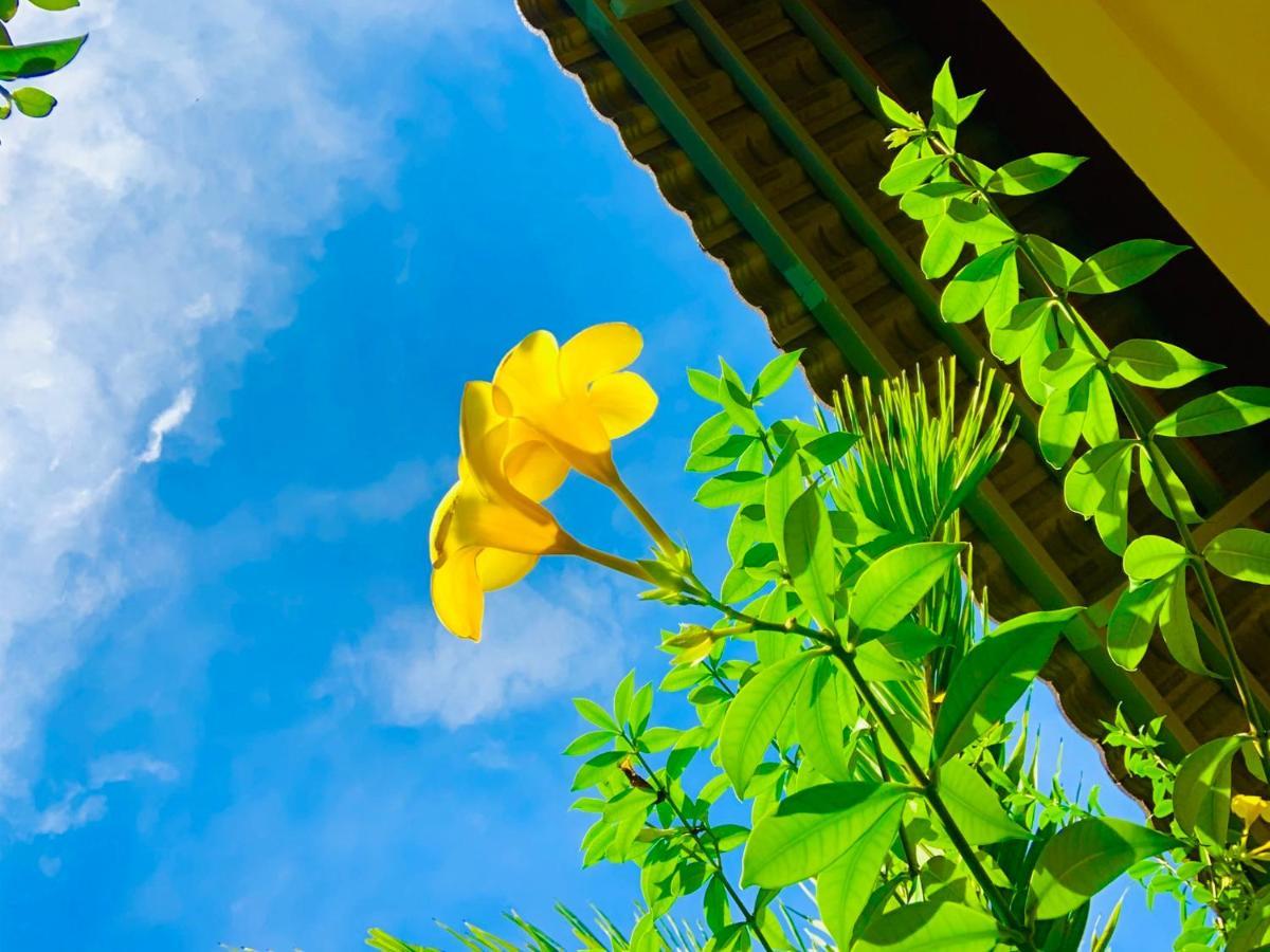 Canary Bungalow Phu Quoc Exterior foto